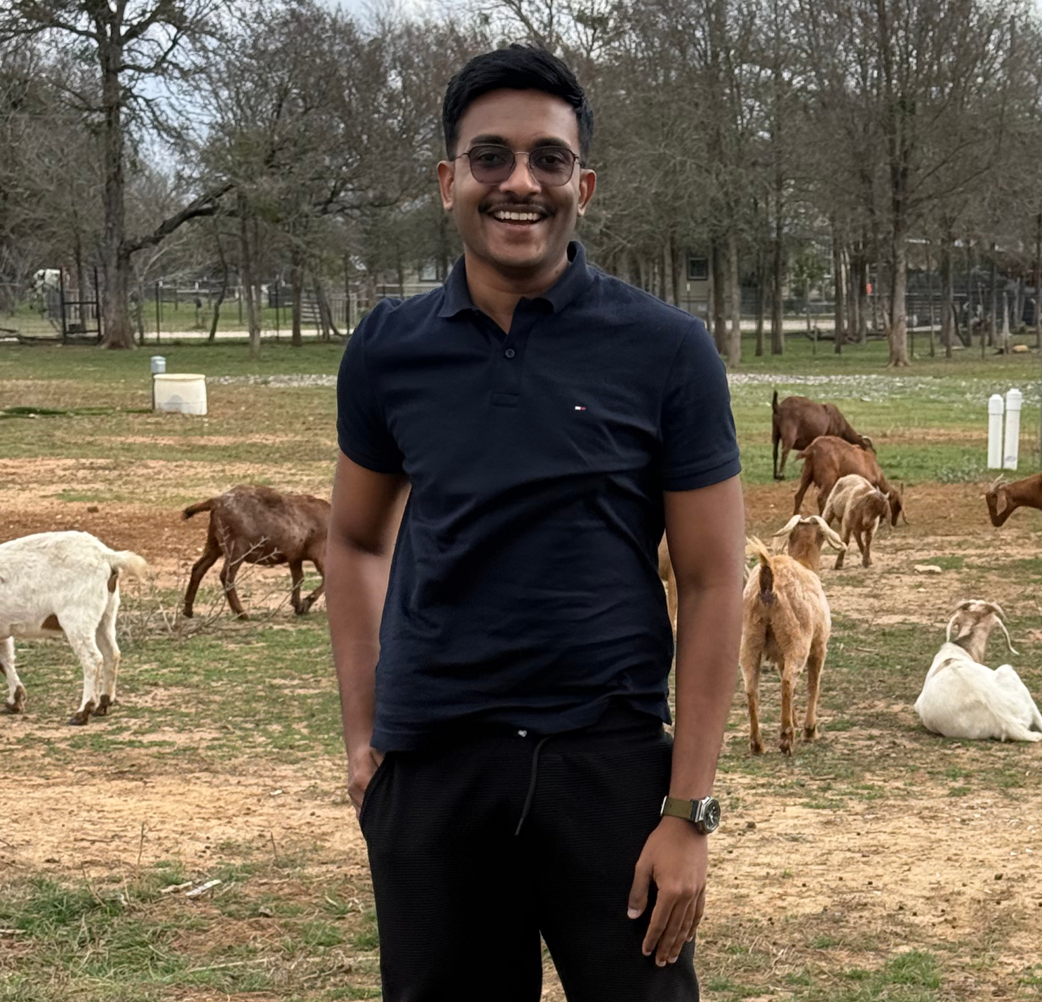 Prize outdoors with goats in Texas