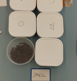 Olfactory Cues