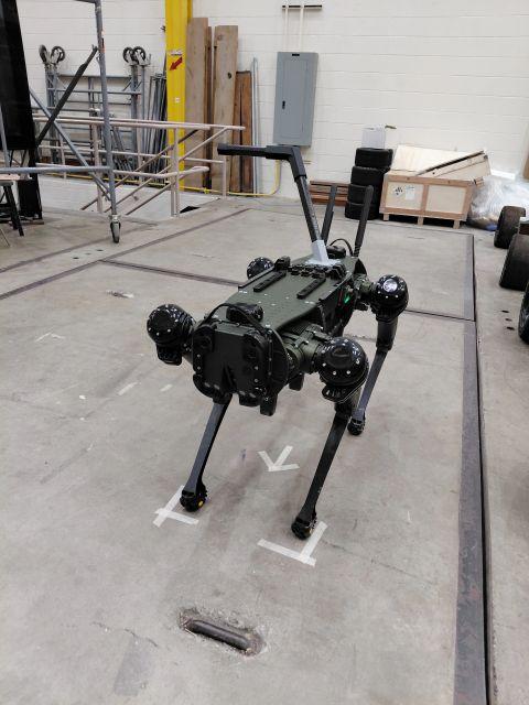 Quadruped robot annotated with sensory interface channels